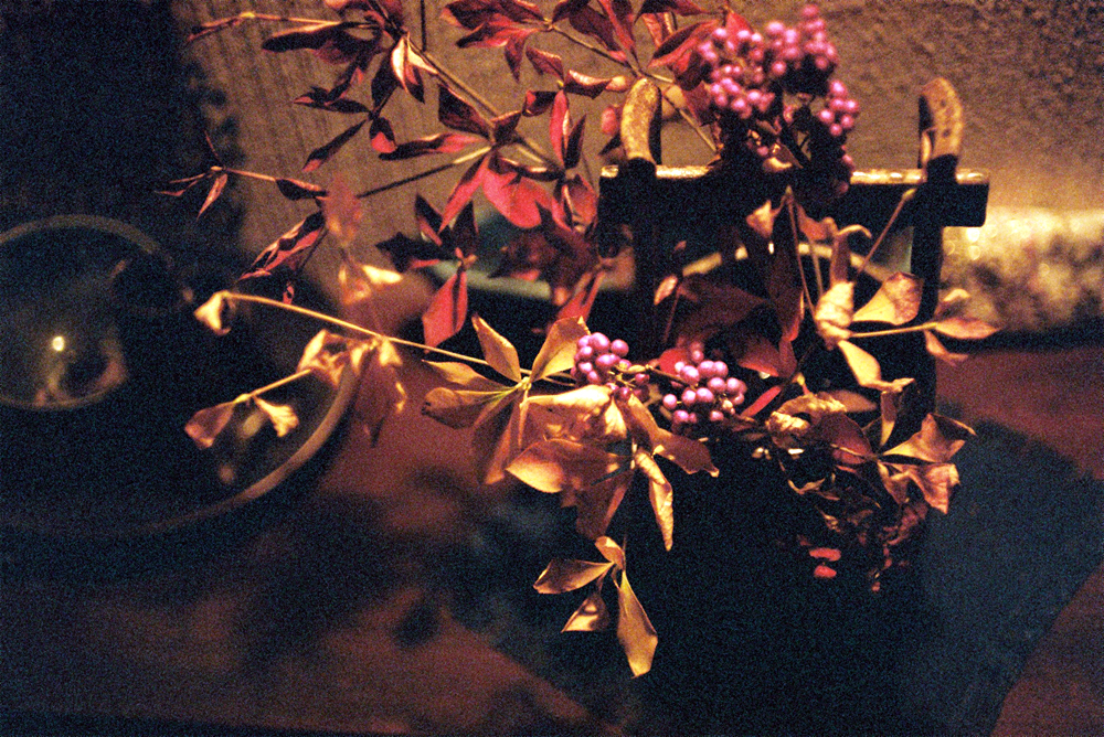 竹内いつか 写真#1134