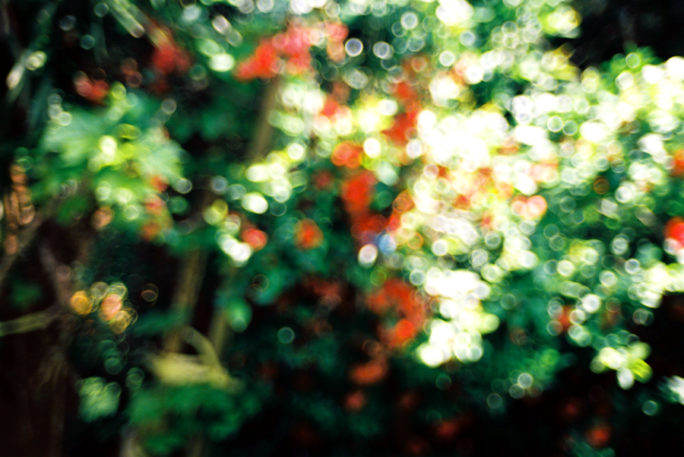 竹内いつか 写真#1447