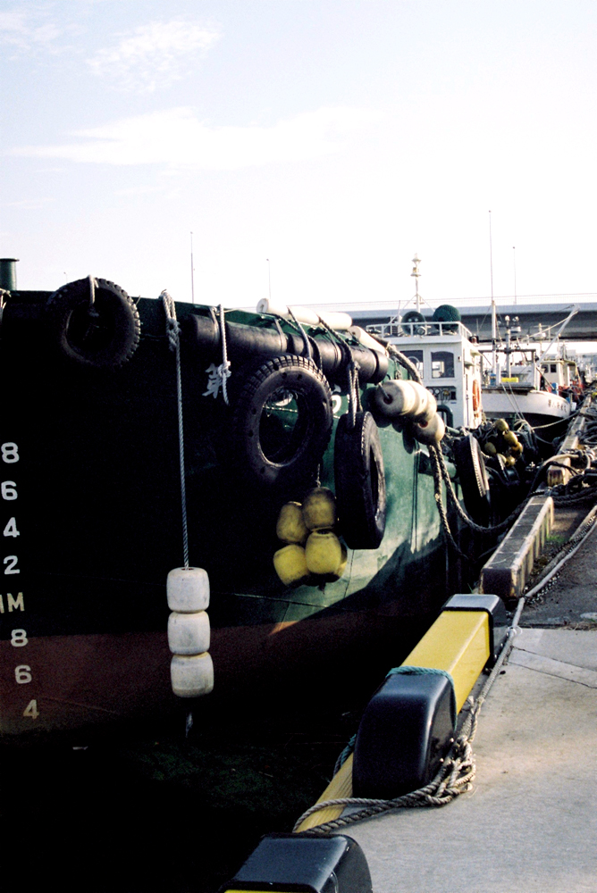 竹内いつか 写真#1915