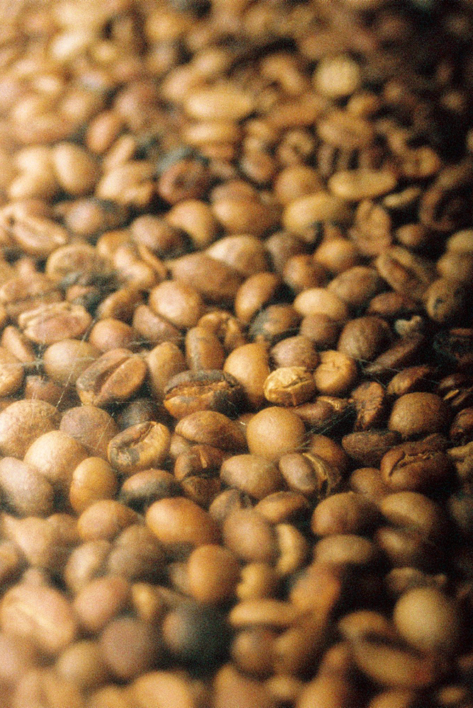 竹内いつか 写真#2592