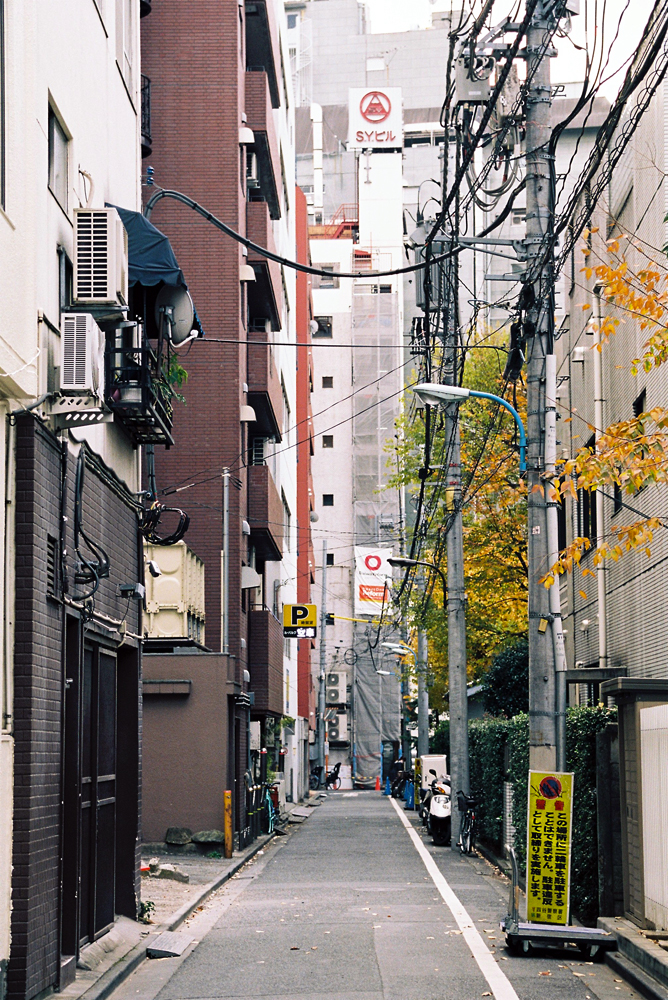 竹内いつか 写真#4469