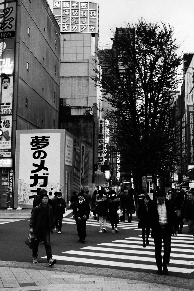 竹内いつか 写真#4773