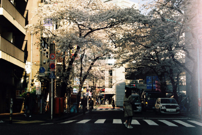 竹内いつか 写真#4764