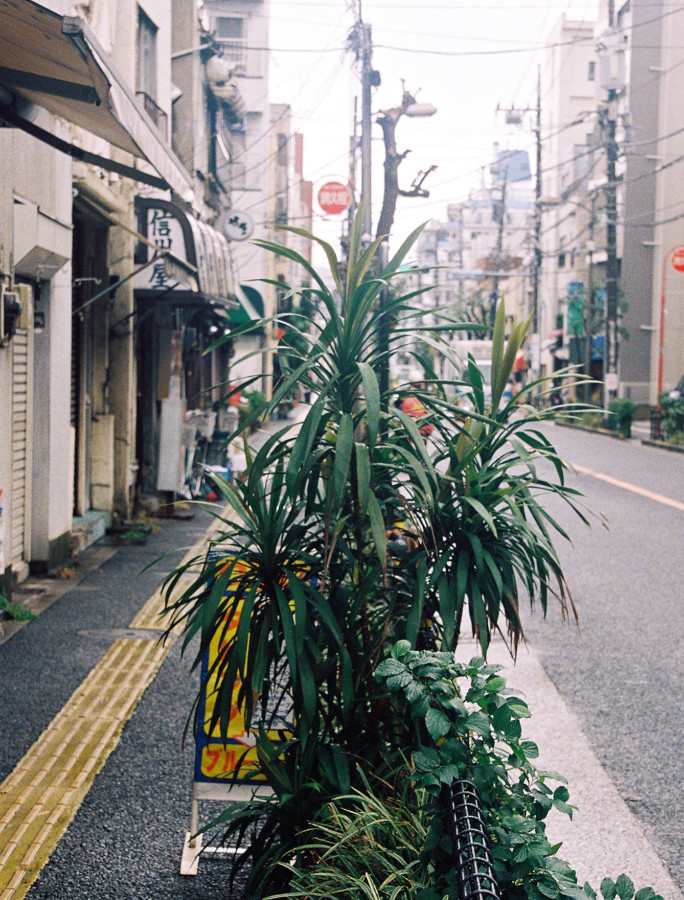 竹内いつか #9493