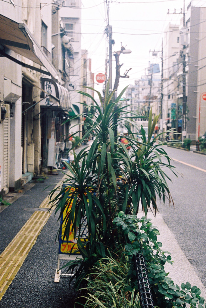 竹内いつか #9493