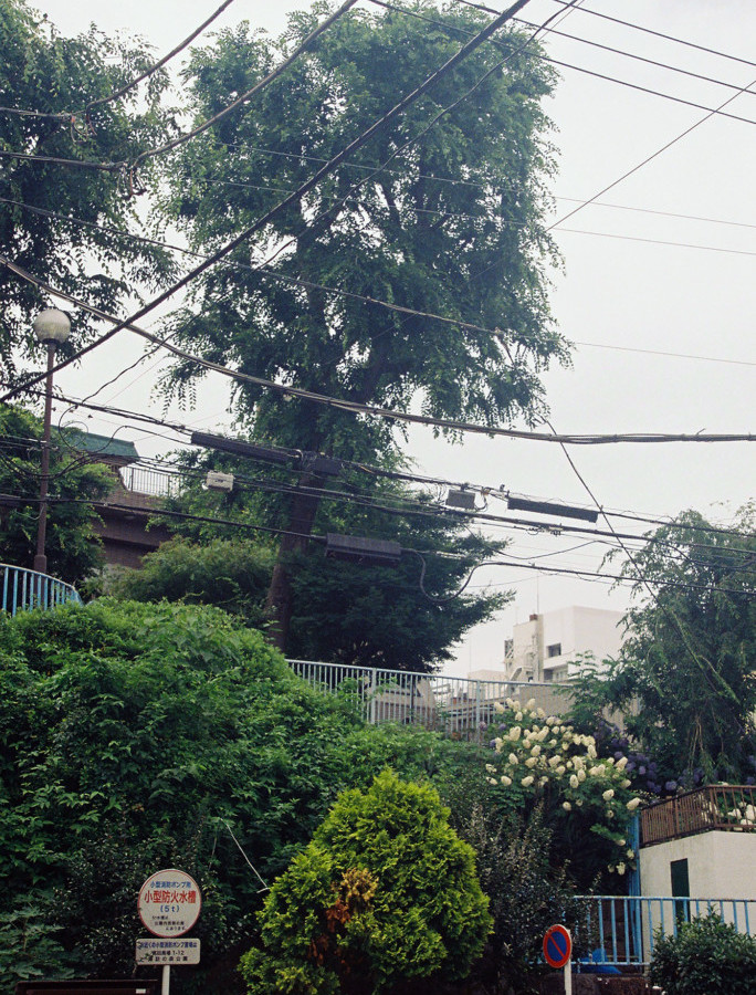 竹内いつか #9526