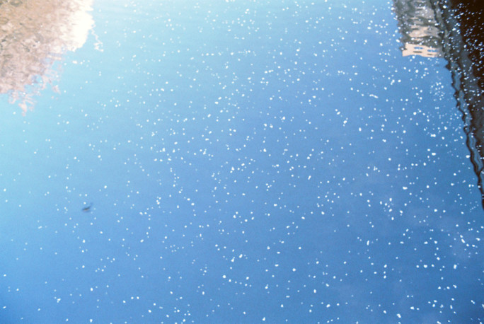 竹内いつか #9658