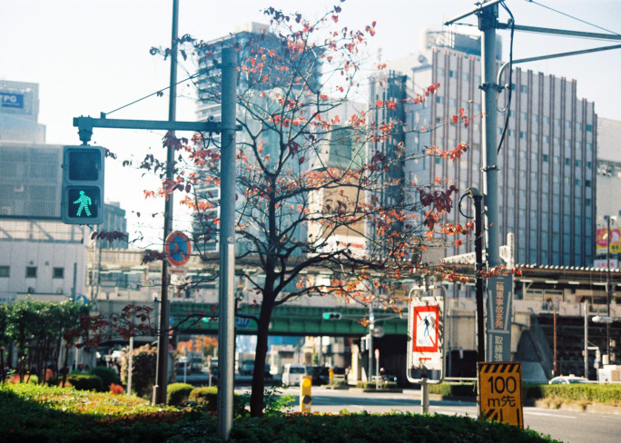 竹内いつか #9713