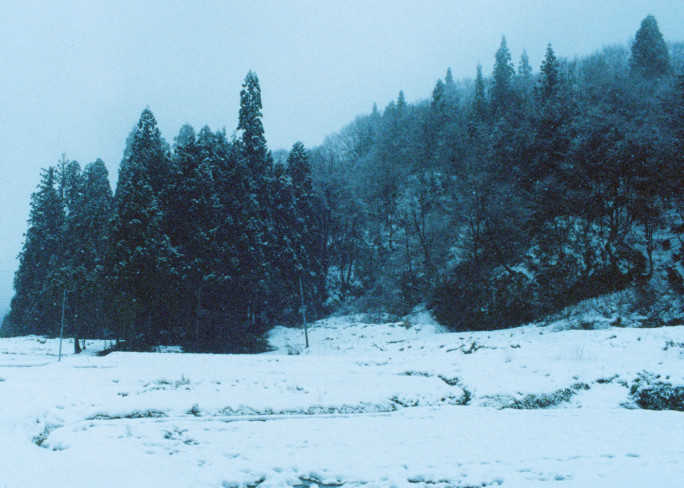 竹内いつか #9717