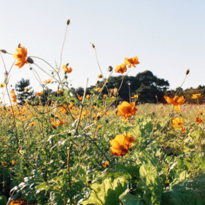 竹内いつか #9736