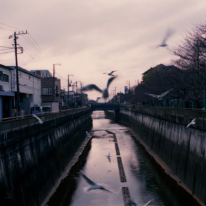 竹内いつか #9736