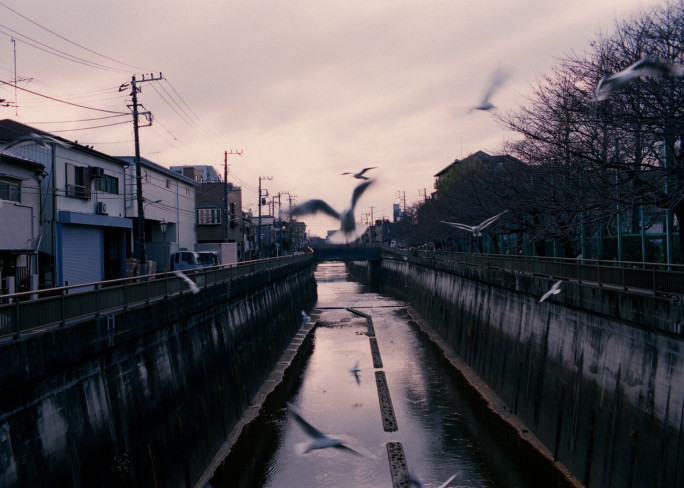 竹内いつか #9736