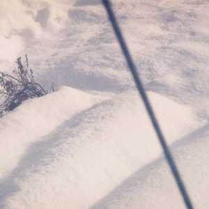 竹内いつか #9775