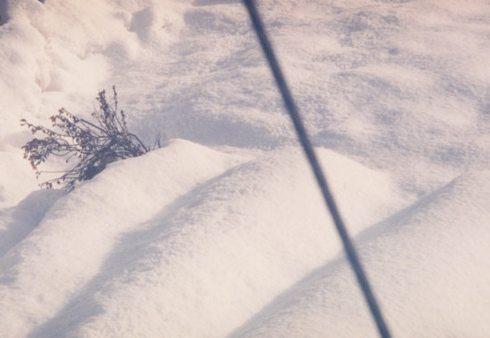 竹内いつか #9775