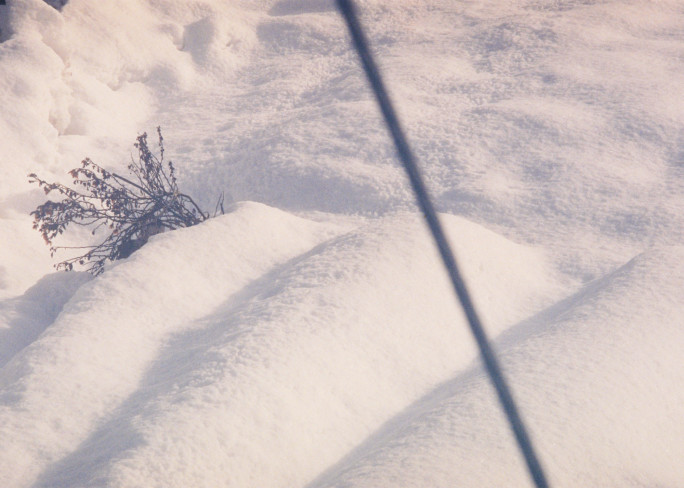 竹内いつか #9775