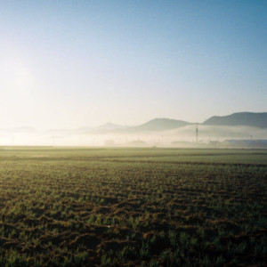 竹内いつか #9798