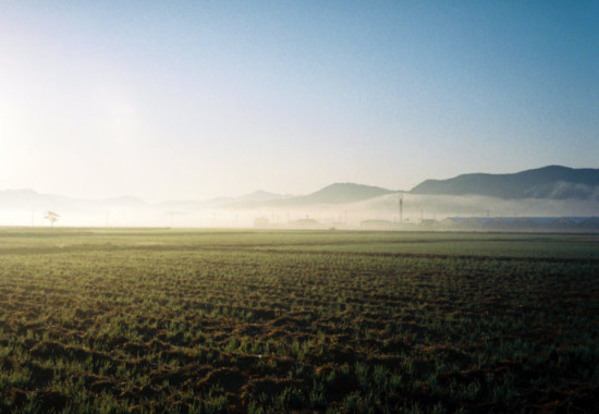 竹内いつか #9798