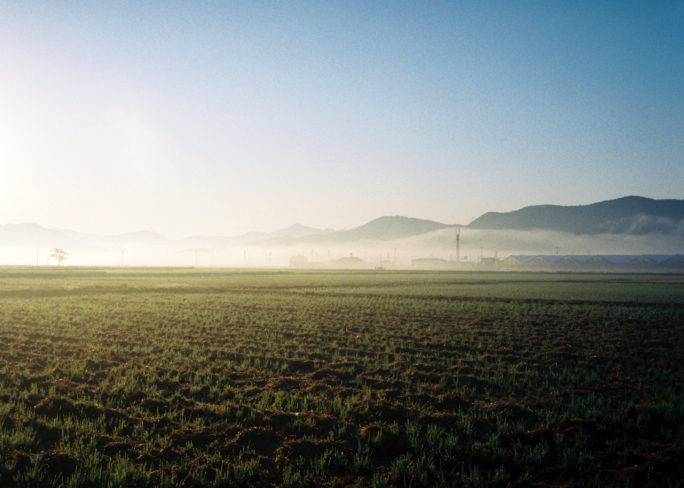 竹内いつか #9798