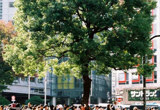 竹内いつか #9802