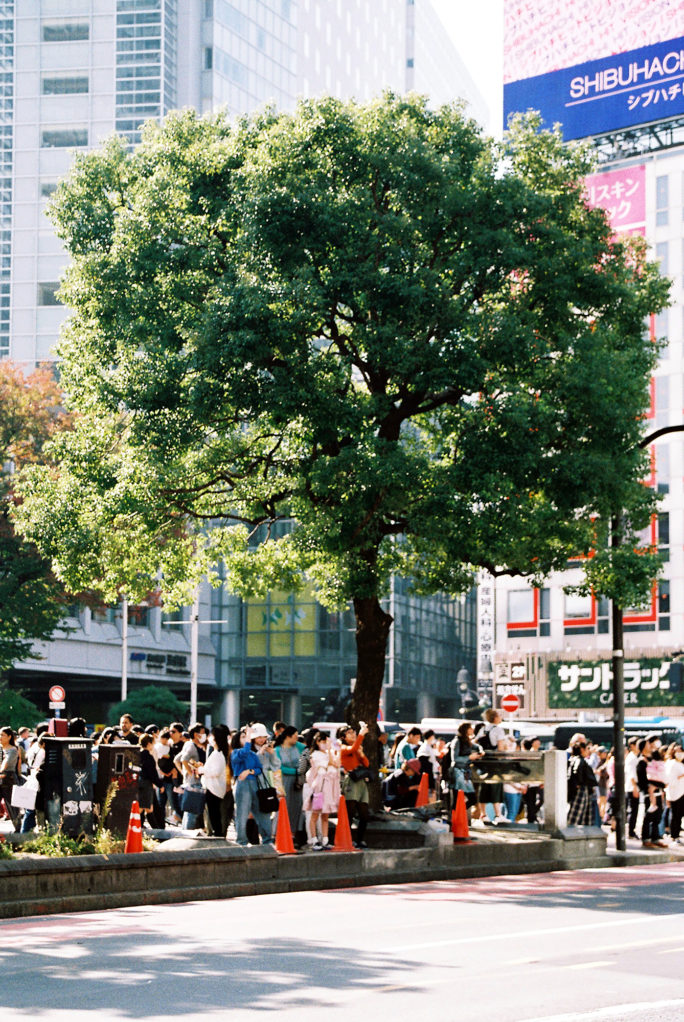 竹内いつか #9802